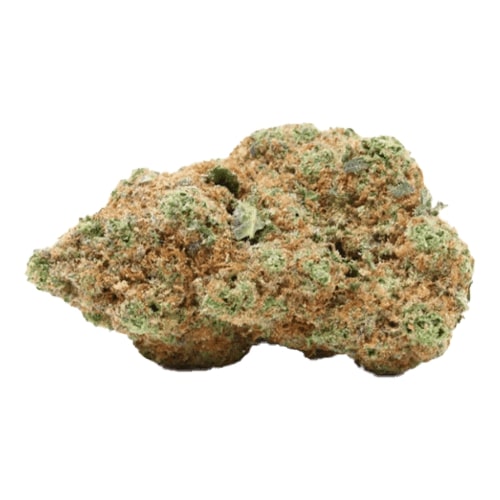 Amnesia Cali