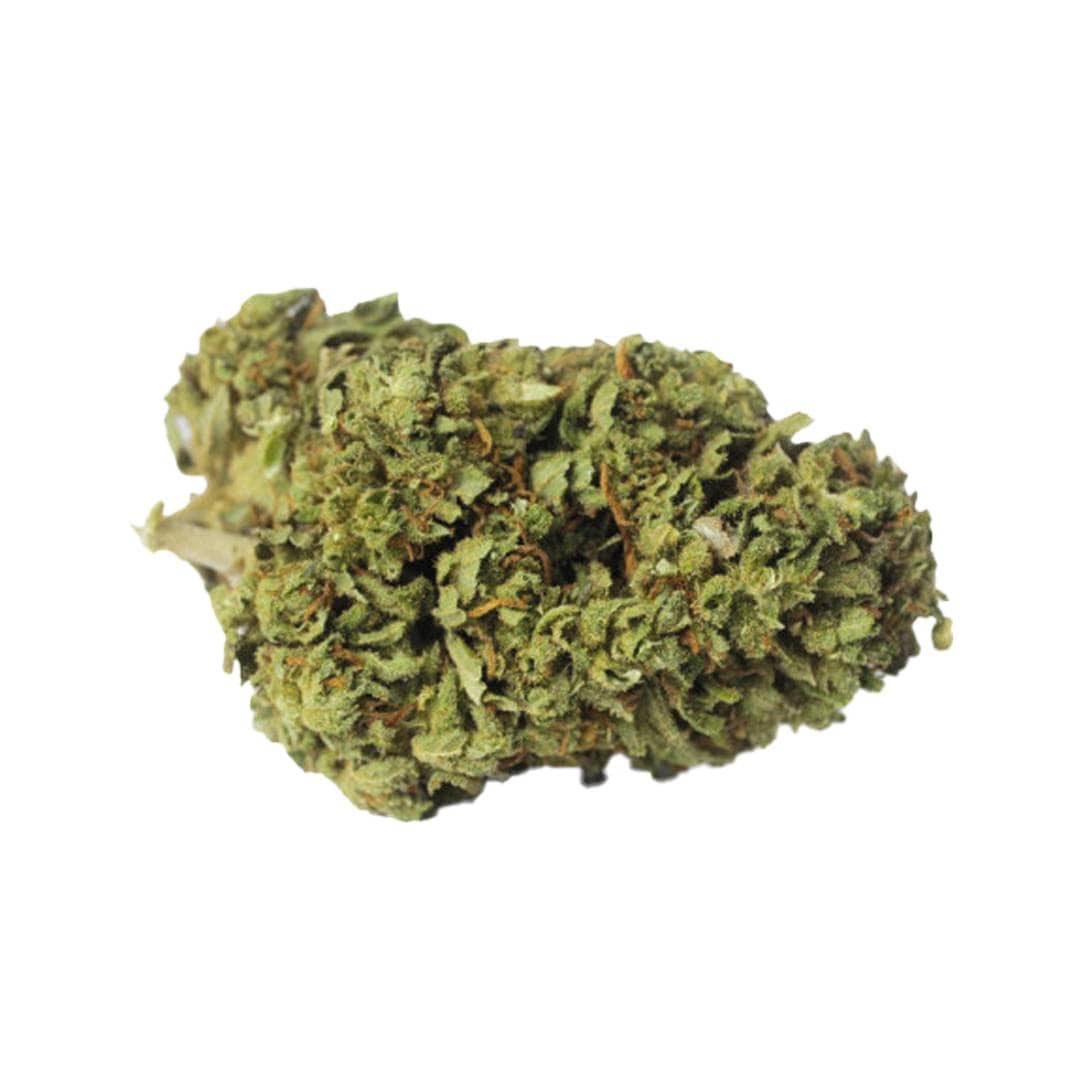 ALIEN HYDRO