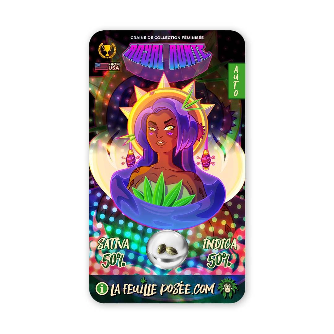 Graine Royal Runtz Féminisée