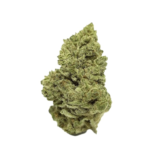 GELATO 33 HYDRO