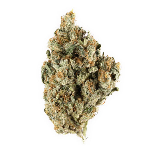BERRY HAZE INDOOR