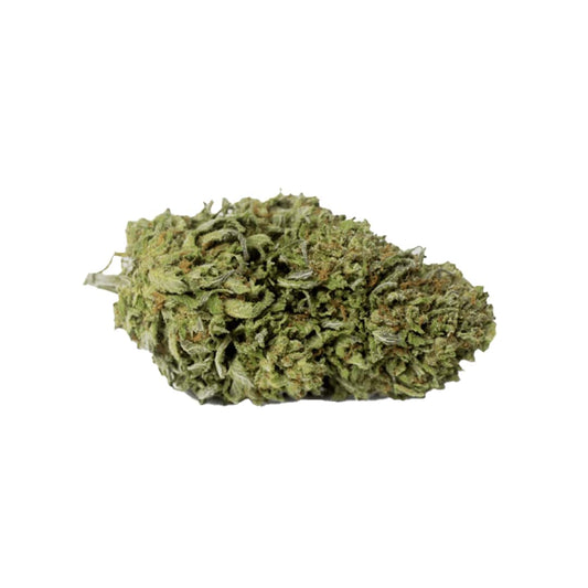 PLUTONIUM INDOOR