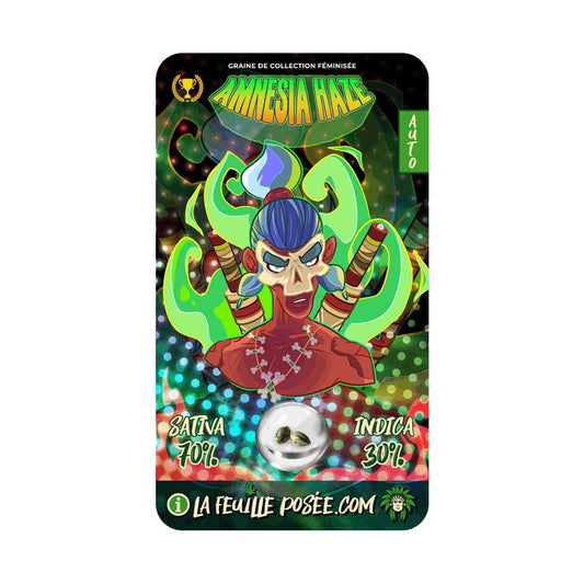 Graine Amnesia Haze Féminisée