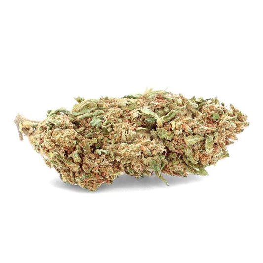 Blueberry Indoor