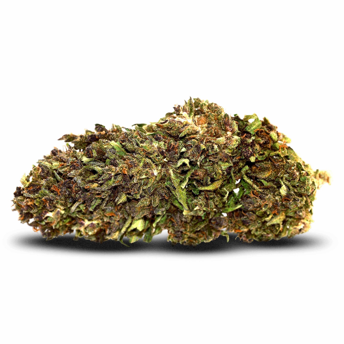 Nothern light indoor