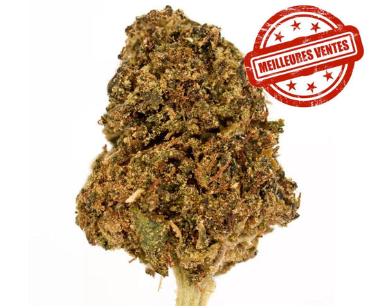 Sour Kush bz10
