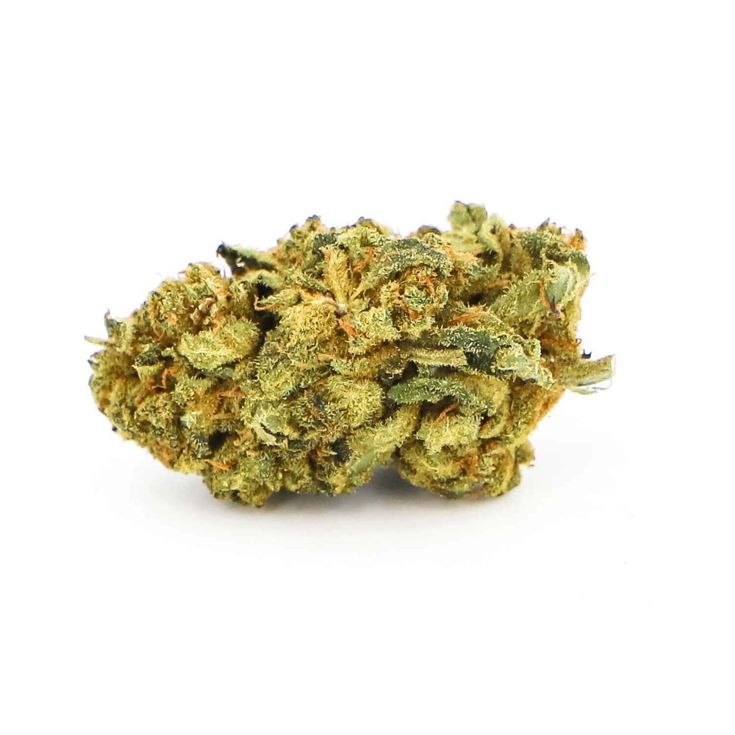 Diesel tonic indoor
