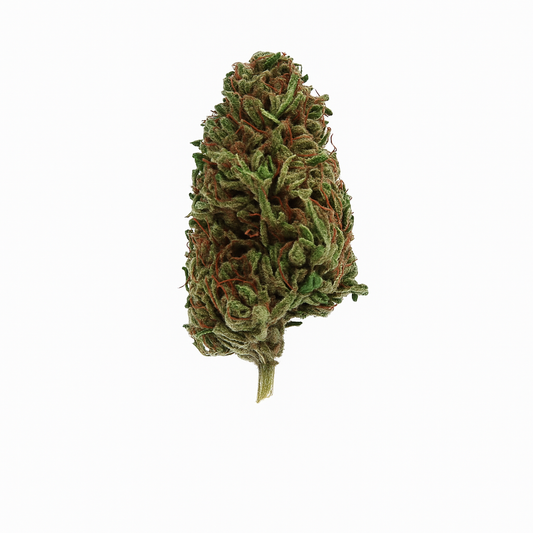 Tropicana indoor cbdx