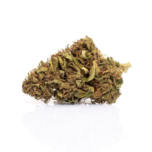 Kush Kush indoor